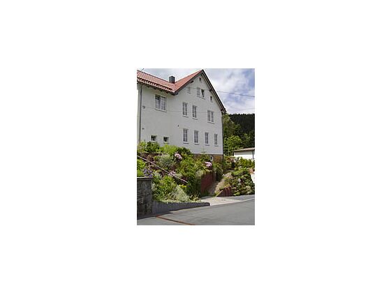 The house with the flat