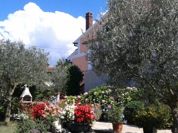 Ferienhaus "Zora" Ferienhaus "Zora"