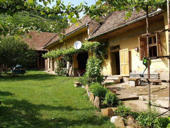 Inside Yard