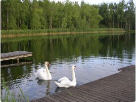 Willkommen "Am See" Ihr Ansprechpartner