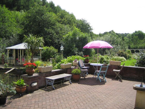 Summertime Patio