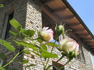 Holiday apartment Camino im CasaFio Holiday apartment Camino im CasaFio