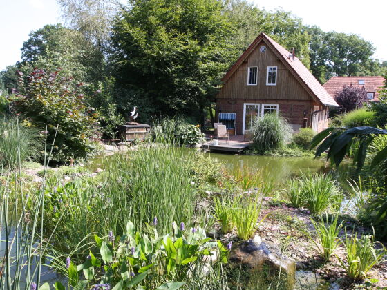 Timber-framed house with pond (western view)
