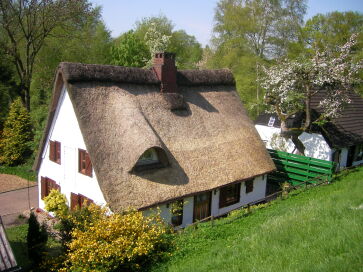 Ferienhaus Reetdachkate Ferienhaus Reetdachkate