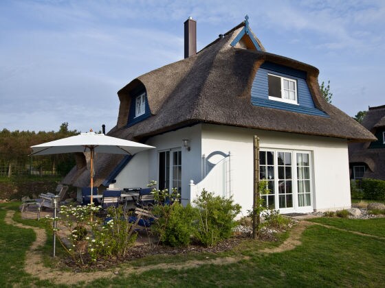 Das blaue Haus