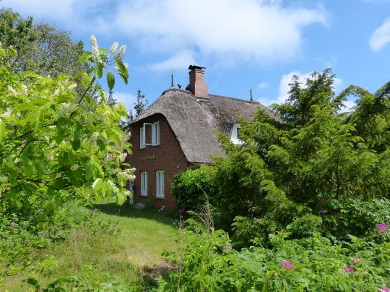 Ferienwohnung Haus in der Heide , Nordsee Firma Amrum