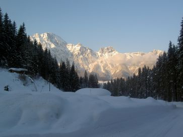 Skihütte Urig, traditionelle Alm auf 1200 in Leogang Skihütte Urig, traditionelle Alm auf 1200 in Leogang