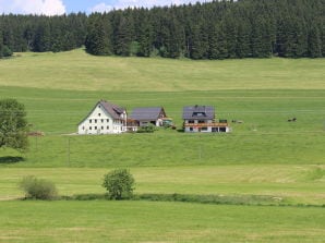 Ferienwohnung Vergissmeinnicht - Titisee-Neustadt - image1