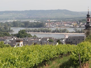 Rüdesheim am Rhein