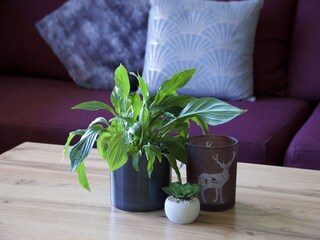 Vakantieappartement Bruck / Großglocknerstraße Kenmerken 24