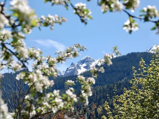 Ausblick von Chalet