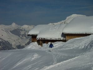 Alpine hut GarmilhÃ¼tte ski mountain hut - Sonntag (Vorarlberg) - image1