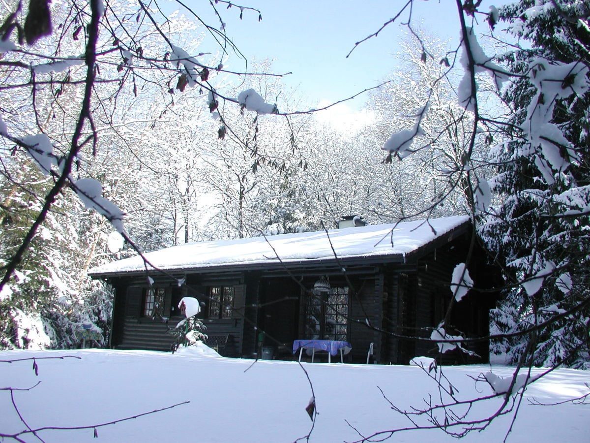 Winteransicht Garten