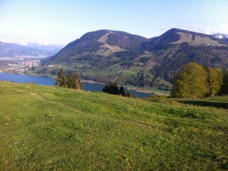 Blick auf den Alpsee