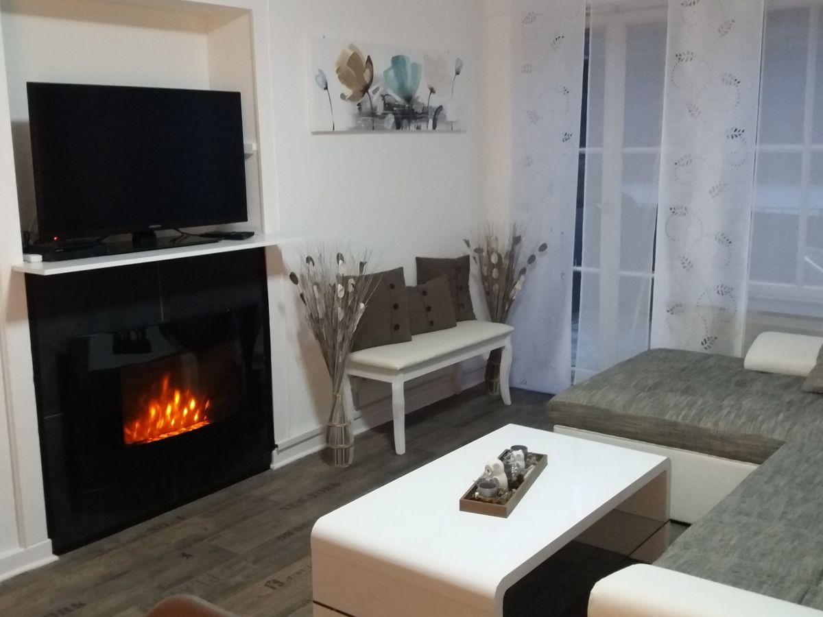 Living room fireplace (electric)