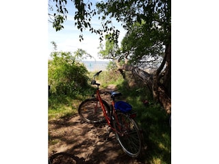 Radweg durch den Müritz-Nationalpark (Bolter Schleuse)