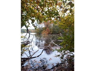 Großer Pätschsee, Zislow