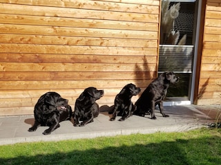 Ferienhaus Dänschendorf Außenaufnahme 1