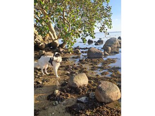 Ferienhaus Dänschendorf Umgebung 22