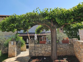 Villa Bale Registrazione all'aperto 5