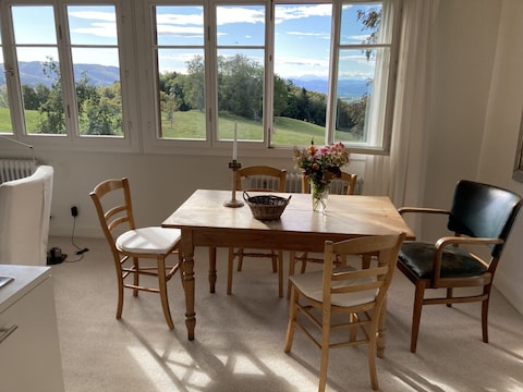 Ferienwohnung 1  Alpenblick - Steineckhof