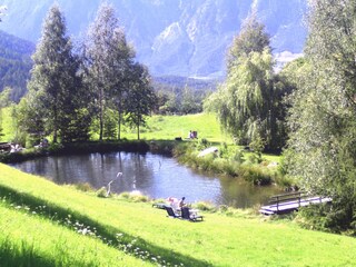 Teich mit Liegewiesen