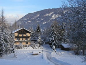 Holiday apartment apatment and chalet - Sautens - image1