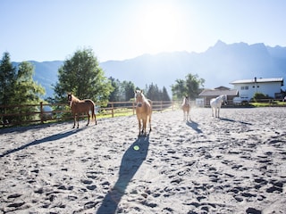 Ferienwohnung Sautens Umgebung 9