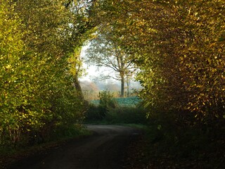 Hohlweg (Redder) Richtung Radlandsichten