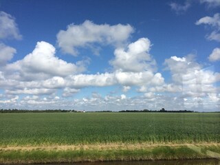 Vakantieappartement Ellemeet Omgeving 17