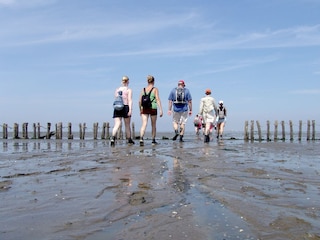 Wattwanderung (World Heritage Wattenmeer)