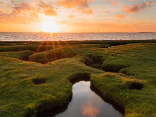 Ferienwohnung Vierhuizen Umgebung 20