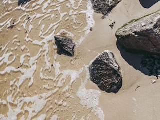 Holiday apartment Vierhuizen Environment 21