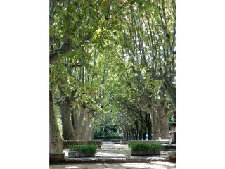 Casa per le vacanze Goudargues Ambiente 35