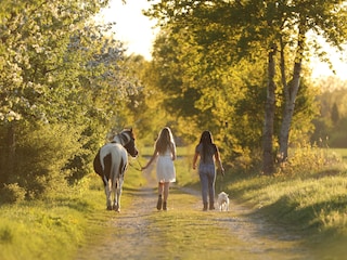 Wunderschöne Wege, rund um Egestorf, zum wandern usw
