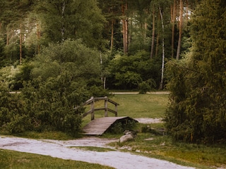 Naturschutzpark Lüneburger Heide