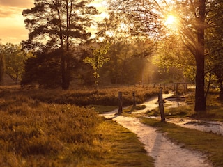 Abendstimmung in unserer Region