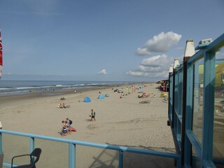 Appartamento per vacanze Petten Ambiente 31