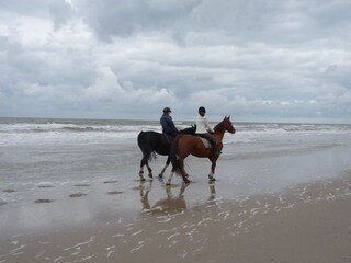 Appartamento per vacanze Petten Ambiente 18