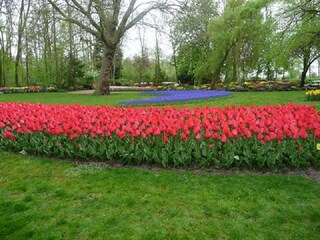 Appartamento per vacanze Petten Ambiente 24