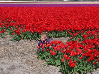 Appartamento per vacanze Petten Ambiente 38