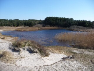 Appartamento per vacanze Petten Ambiente 25