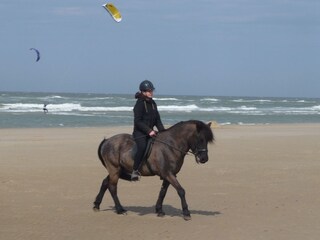 Appartamento per vacanze Petten Ambiente 27