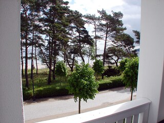 Blick vom Balkon