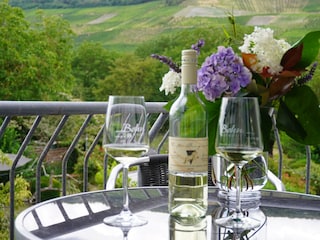 Blick zum Garten und Weinberge Richtung Mosel