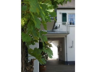 Ferienwohnung Bernkastel-Kues Außenaufnahme 11