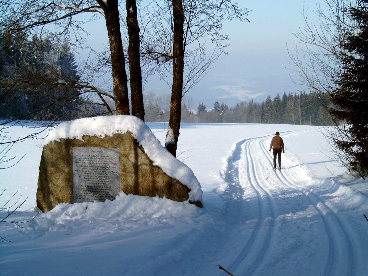 Wanderung im Winter