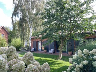 Holiday apartment Saal in Vorpommern Outdoor Recording 7