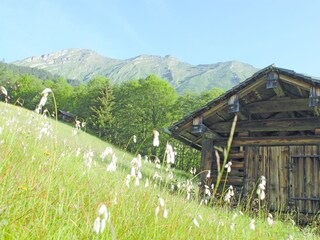 Appartamento per vacanze Schoppernau Ambiente 23