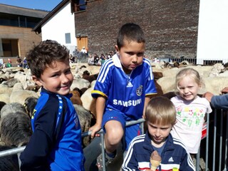 Appartamento per vacanze Schoppernau Ambiente 29